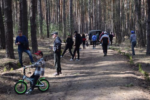 Киләчәк өчен 2000 агач: Тукай районында зур күләмдә чыршы утырту узды