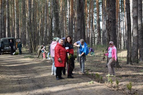 Киләчәк өчен 2000 агач: Тукай районында зур күләмдә чыршы утырту узды
