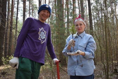 Киләчәк өчен 2000 агач: Тукай районында зур күләмдә чыршы утырту узды