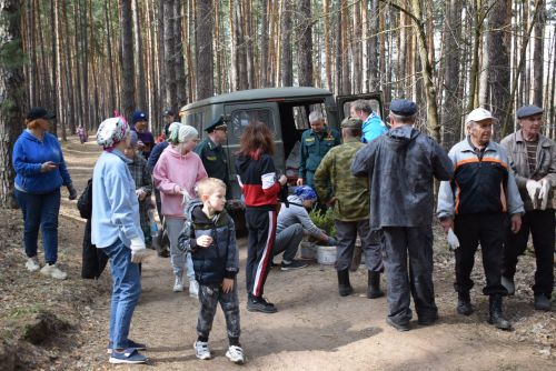 Киләчәк өчен 2000 агач: Тукай районында зур күләмдә чыршы утырту узды