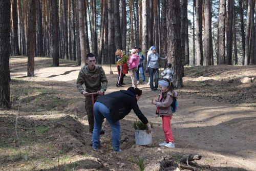 2000 деревьев для будущего: в Тукаевском районе прошла масштабная посадка елей