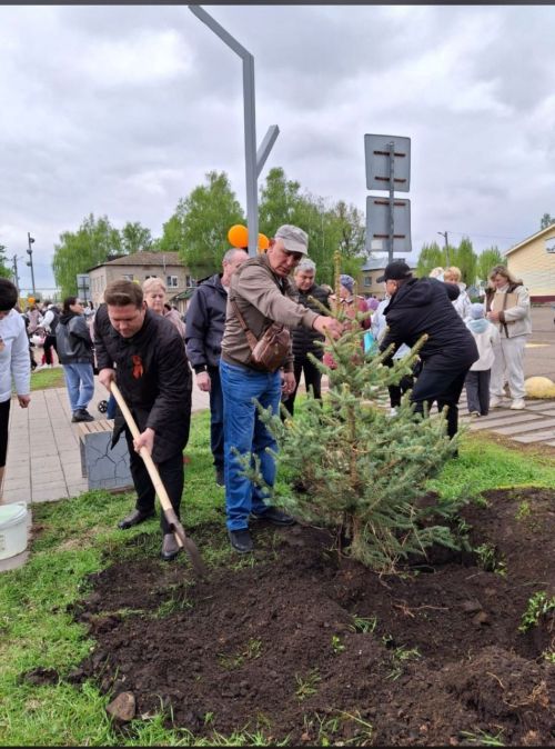 Акция «Дерево Победы» в парке «Зелёный островок».