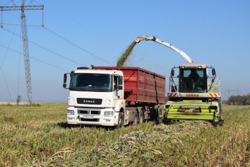 Основная задача – заготовка качественных кормов