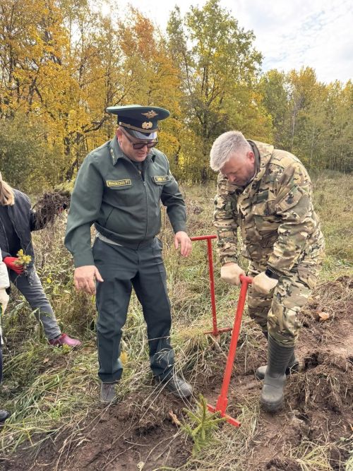 В Тукаевском районе высадили две тысячи новых елей