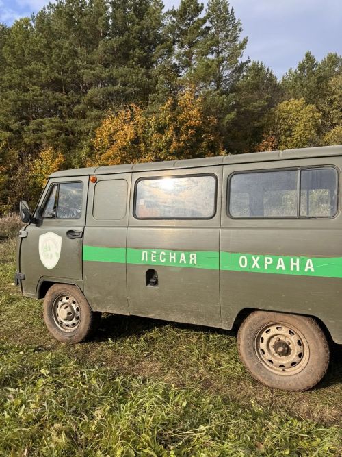 В Тукаевском районе высадили две тысячи новых елей