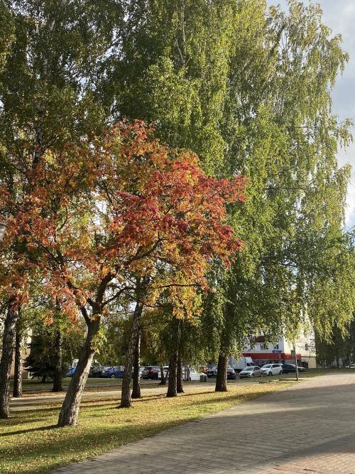 12 октябрьдә Татарстанда +20 градуска кадәр җылытачак