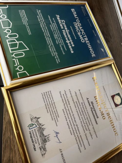 Представительниц Молодежного центра Тукаевского района отметили за добровольчество