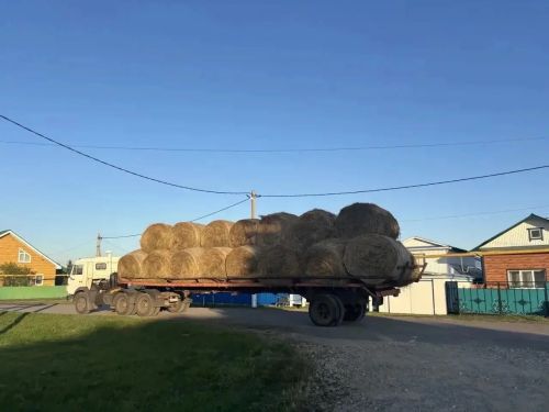 Көзге печәнне авылдашларына өләшеп чыкканнар