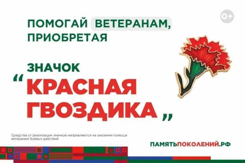 «Красная гвоздика»: всероссийская акция помощи ветеранам стартовала в Татарстане