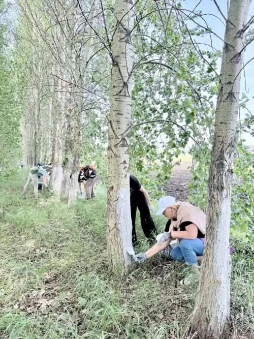 Обезопасили придорожные деревья на весеннем субботнике