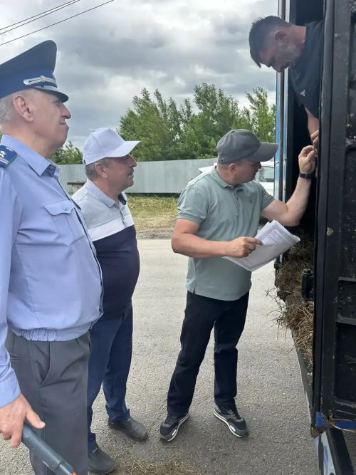 Тукай районында Корбан гаете алдыннан 1400дән артык мал тикшерелгән