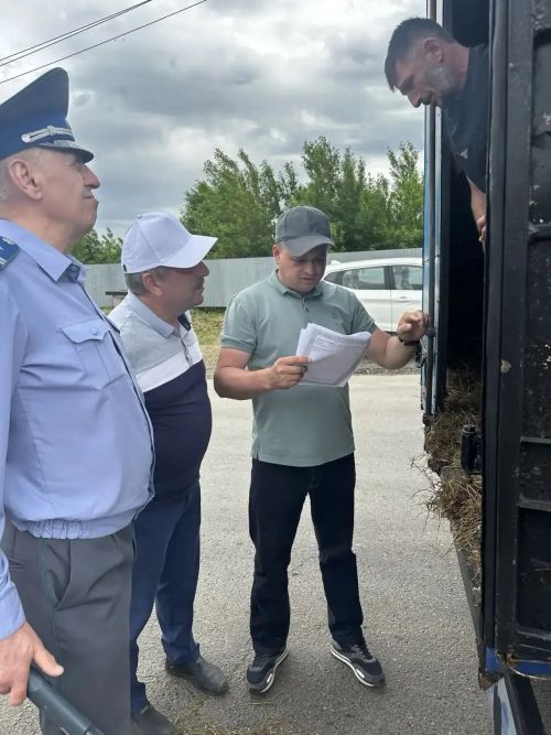 Тукай районында Корбан гаете алдыннан 1400дән артык мал тикшерелгән