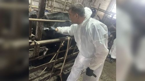 В Тукаевском районе провели комплексные противоэпизоотические мероприятия на хозяйстве ООО СХП «Ярыш»