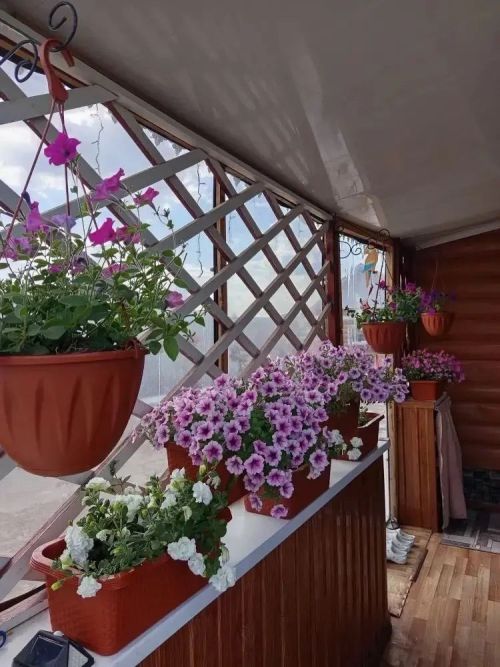 Икегә тапкырланган бәхет