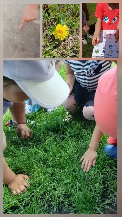 «Ләйсән» балалар бакчасында хәзинә тапканнар