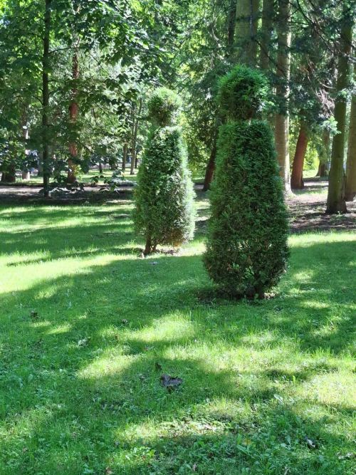 Санкт-Петербургта сәяхәт: шәһәрнең иң матур урыннарын барладык