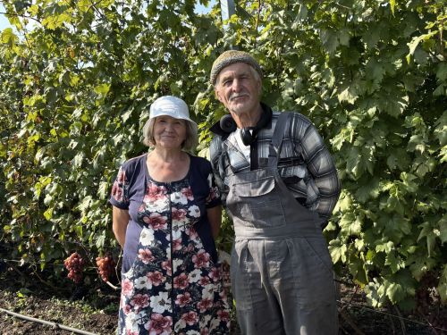 Әгъләм Шәйхетдинов: «Мин виноградны ашарга дип түгел, процессын яратканга үстерәм»