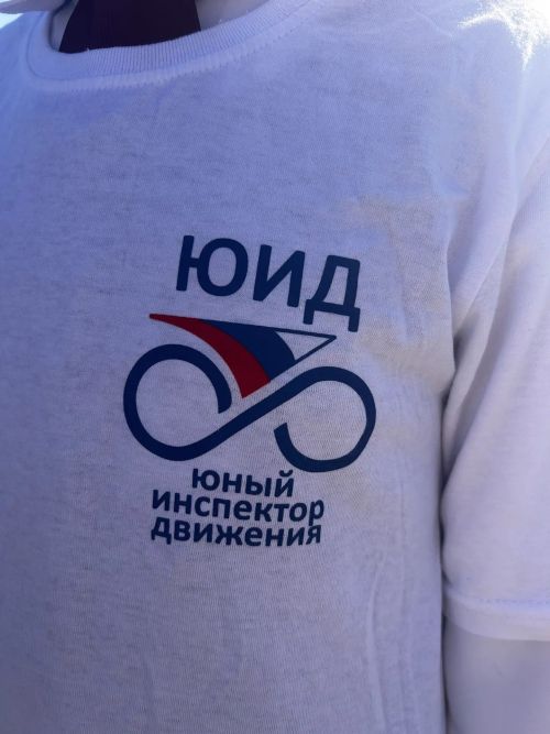 В Калмашской школе прошла акция по профилактике детского травматизма на дорогах