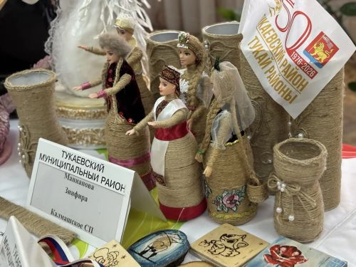 В Тукаевском районе началась Декада пожилого человека