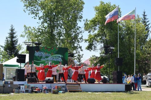 "День села" в Мелекесе: торжество, искусство и благодарность