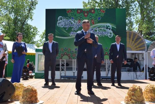 "День села" в Мелекесе: торжество, искусство и благодарность