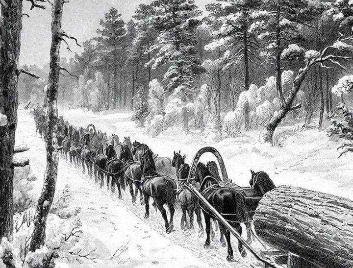 150 лошадей для одного дуба: как село Биклянь строило российский флот
