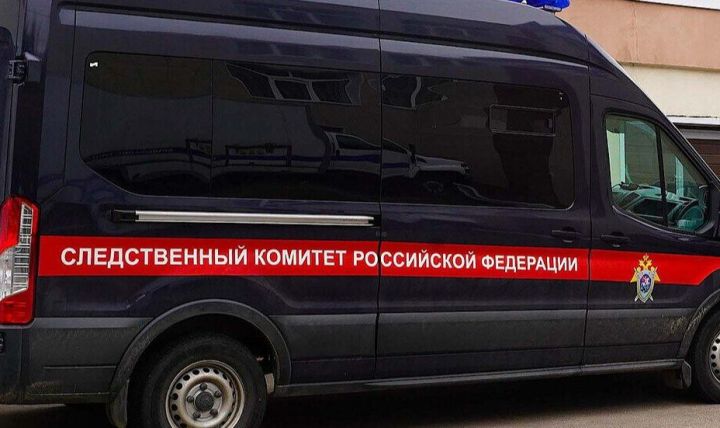 В Нижнекамске задержан владелец собаки, напавшей на 12-летнюю девочку