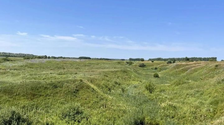 Бүген Татарстанда эсселек 30 градуска кадәр җитәчәк