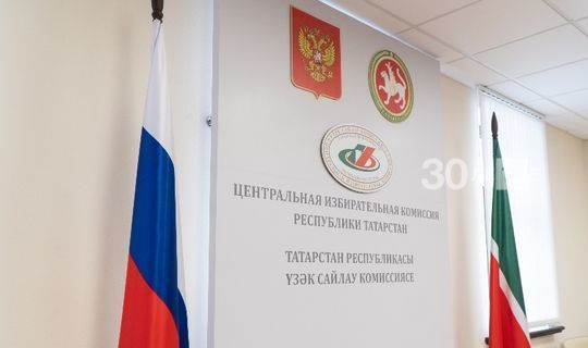В Татарстане избиратели смогут задать вопросы экспертам по Конституции РФ