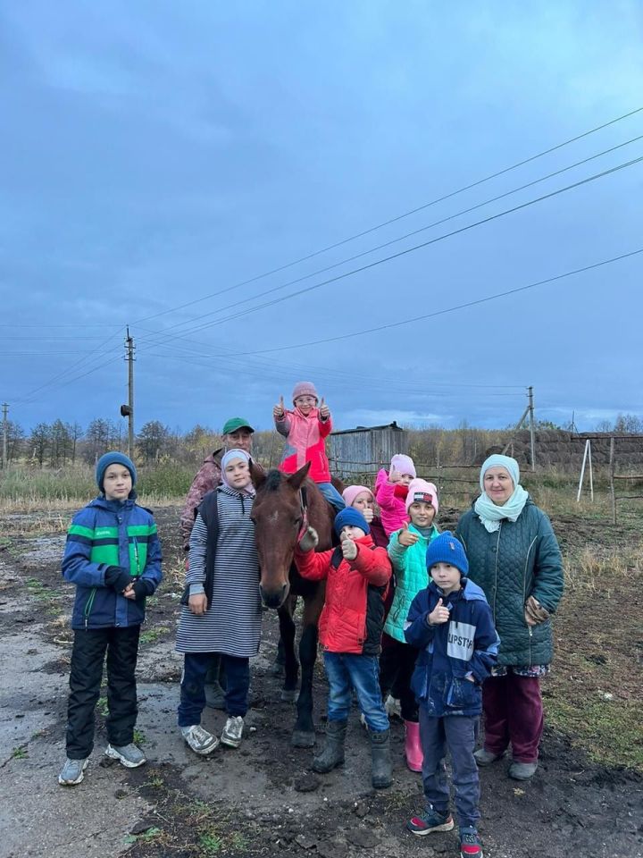 Ученики Иштеряковской школы погрузились в мир сельского хозяйства во время посещения КФХ Закирова Марата Саматовича