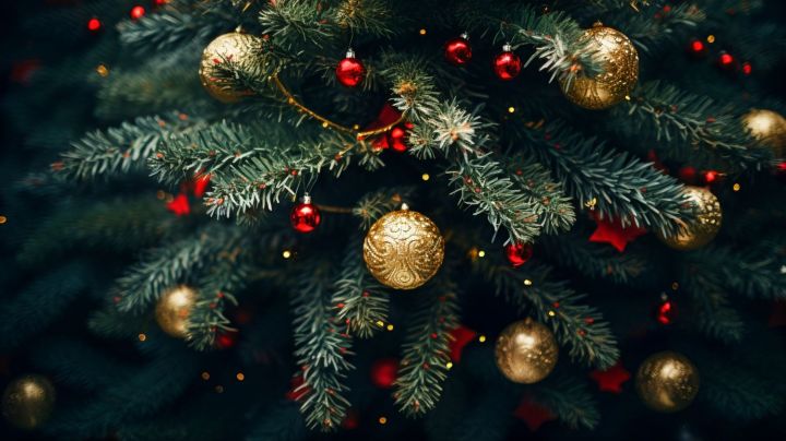 Секреты выбора идеальной новогодней елки: как создать волшебство в своем доме