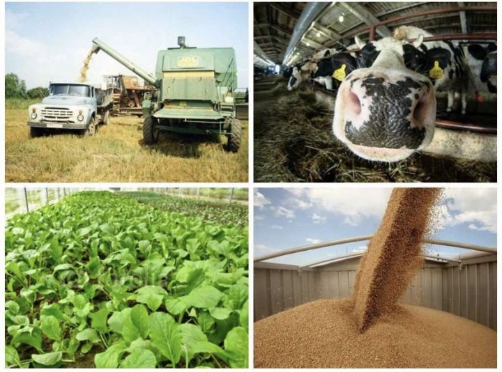 Минсельхозпрод РТ объявляет отбор сельскохозяйственных потребительских кооперативов