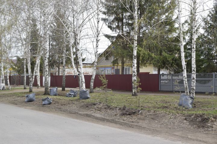 Чисталык экомарафоны старт ала