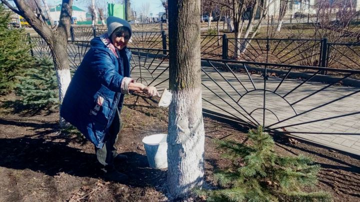 Работники Князевского дома культуры провели экологический субботник на территории