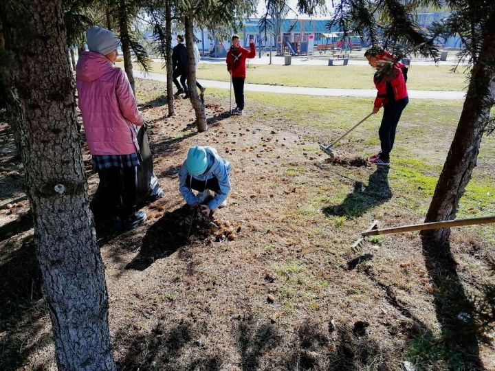 Вчера в МБОУ «Бетькинская СОШ» старшеклассники провели уборку на территории памятника