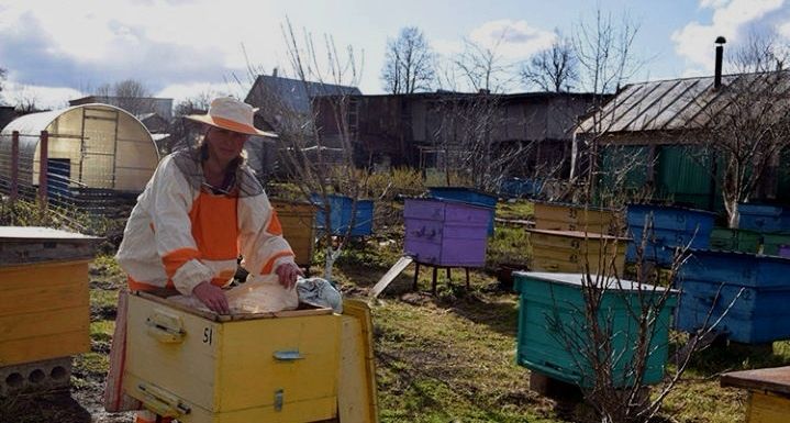 В Тукаевском районе начался пчеловодный сезон