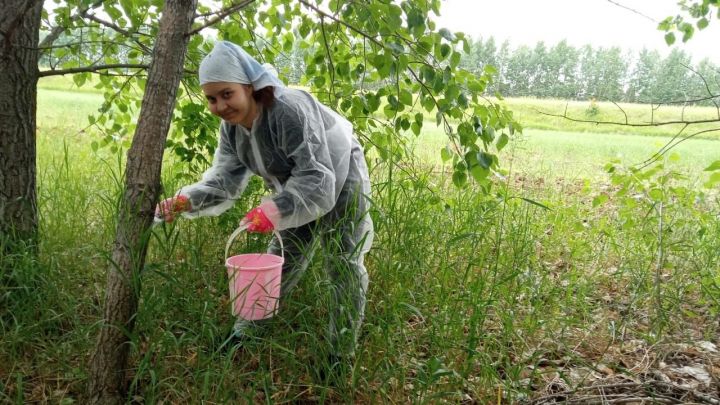 В Князевском сельском поселении провели субботник по побелке деревьев на посадке