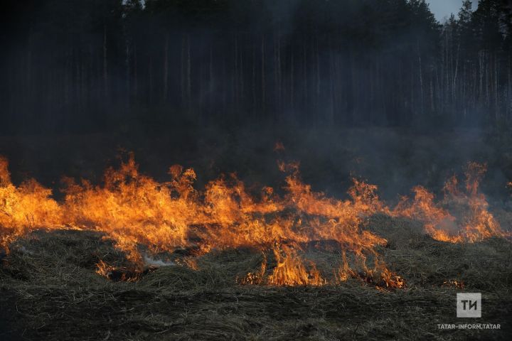 Гидрометцентр РТ объявил штормовое предупреждение из-за высокой пожароопасности лесов