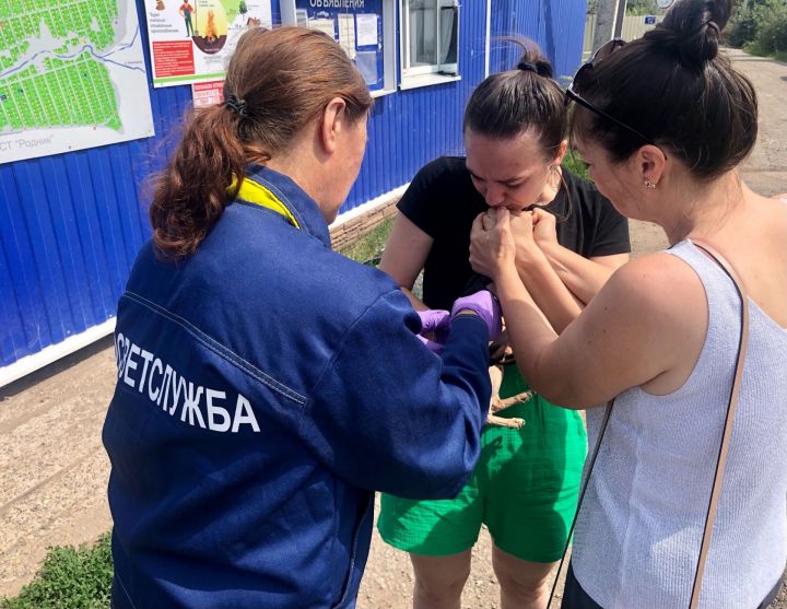 Йорт хайваннарына прививка ясыйлар
