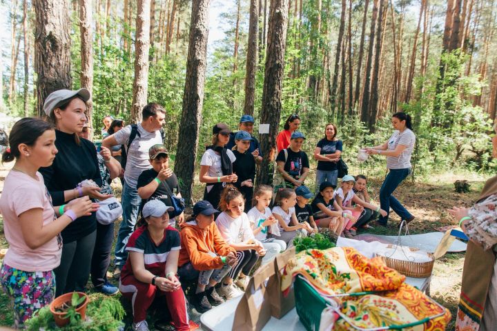 Шильнинский лес ждет туристов