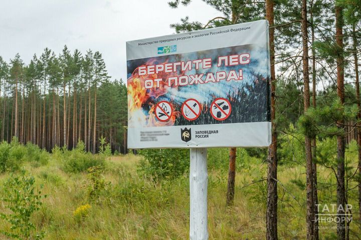 Татарстан Урман хуҗалыгы министрлыгы янгыннар куркынычы зур булган районнарны атады