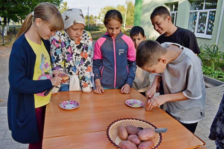 Работники дома культуры организовали для детей познавательную развлекательную программу «Ах, картошка – объеденье!»