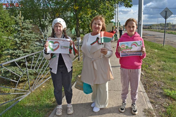 Члены клубного объединения «Волонтёр» Князевского дома культуры провели патриотическую акцию «Триколор» в честь Дня Республики Татарстан