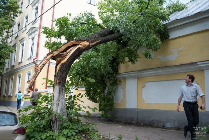 Климатолог заявил, что ураганов и смерчей в Татарстане станет еще больше