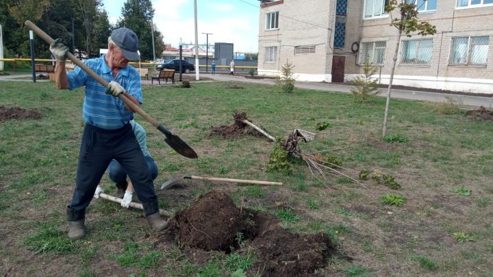 В Князевском сельском поселении прошла экологическая акция «Сделаем краше поселение наше»