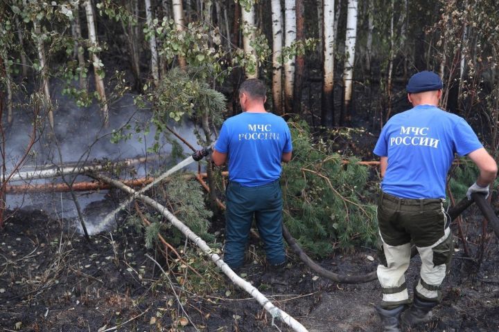 На территории РТ объявлен высокий класс пожарной опасности лесов