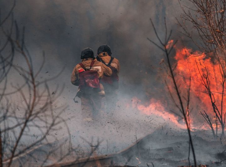 Минлесхоз РТ сообщил об увеличении пожароопасного периода в лесах из-за изменений климата