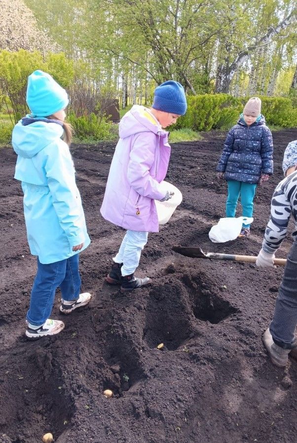 Ученики Бурдинской школы с раннего возраста учатся любить и уважать природу