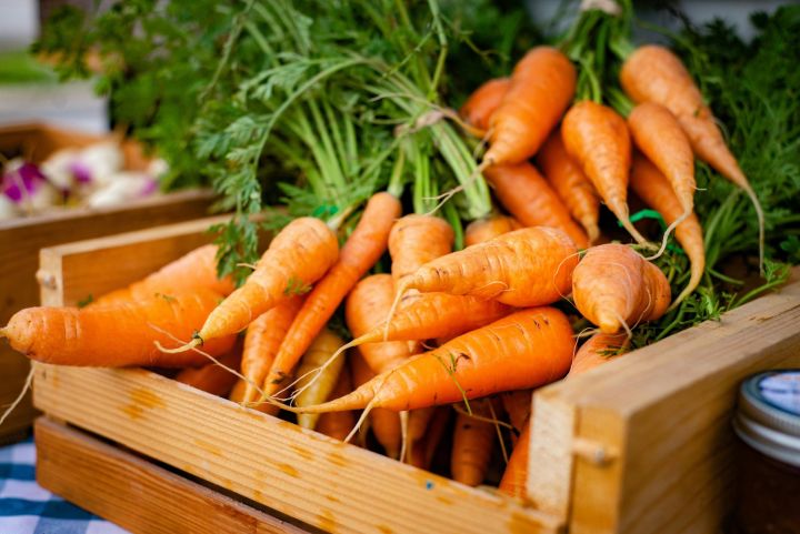 Морковь: полезный урожай и секреты успешного выращивания