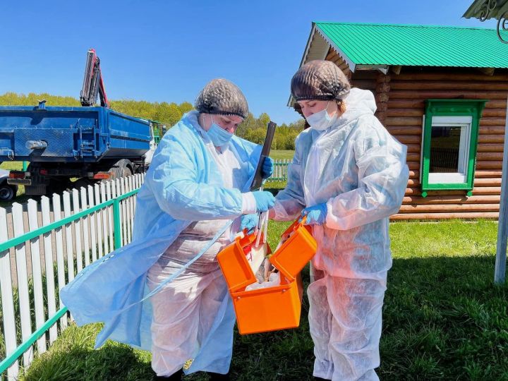 Тукаевский район: учения по ликвидации очага гриппа птиц объединяют усилия различных служб